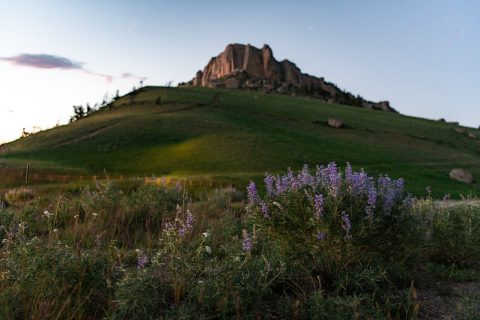 Steamboat Point, with its commanding views and wildflowers, offers a tranquil escape and ranks as a top thing to do for hikers and nature enthusiasts in Wyoming.