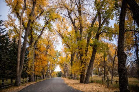 12 Great Spots to See Fall Colors in Sheridan County