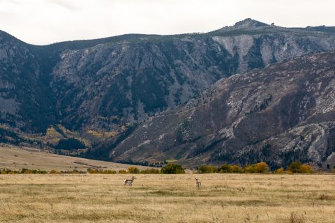 12 Great Spots to See Fall Colors in Sheridan County