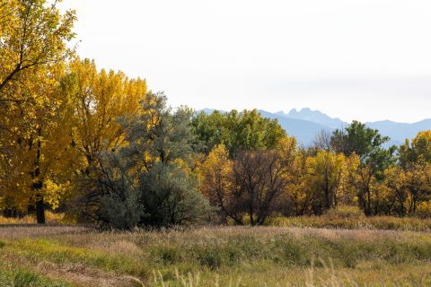 12 Great Spots to See Fall Colors in Sheridan County