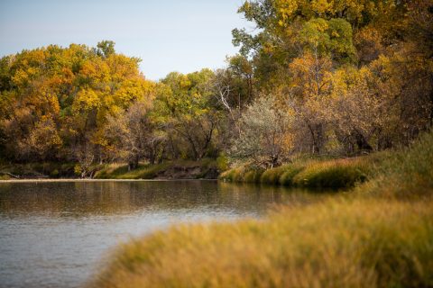 12 Great Spots to See Fall Colors in Sheridan County