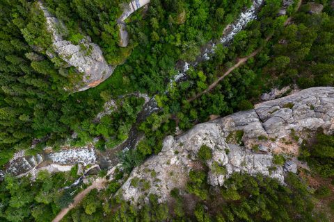 Aerial view of a dense forest in Story, Wyoming, showcasing nature's grandeur.