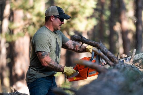 Forestry worker with a chainsaw managing woodland in Story, Wyoming.