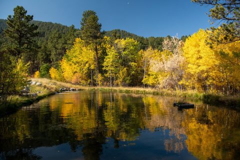 Calm waters mirror the golden autumn leaves in Story, Wyoming.