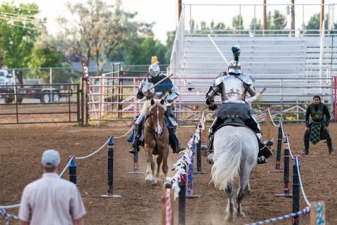 Tournament of Knights