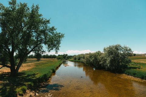 Sheridan County Road Trip