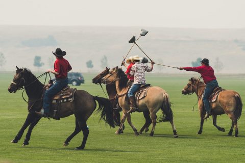 Don Cowboys gallop in a spirited polo match during the 35th annual Don King Days, a long-standing tradition celebrating Western culture.
