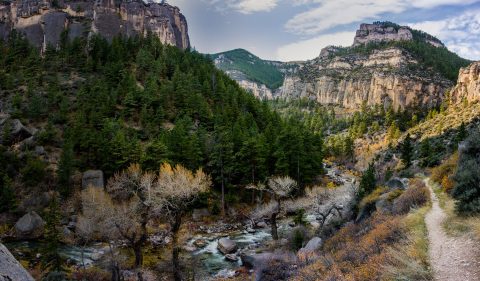 A majestic mountain canyon with a meandering stream flanked by evergreens and autumn foliage under a subdued sky.