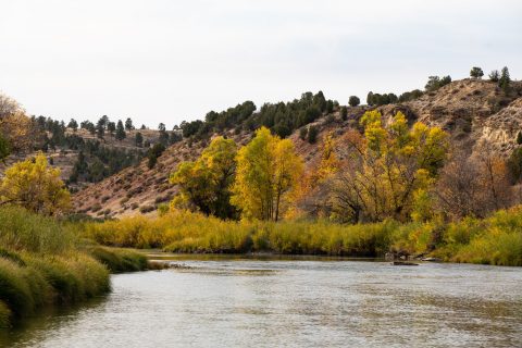 A tranquil river flows through a valley with hills dotted with trees showcasing fall foliage, under a cloudy sky.