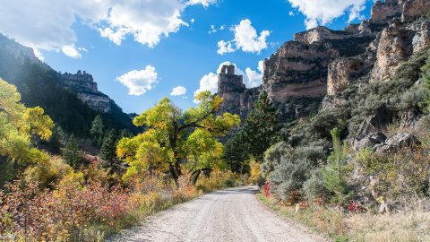 Tongue River Canyon Fall Colors