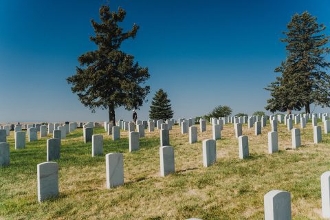 Peaceful cemetery with rows of white headstones, flanked by towering evergreen trees under a clear blue sky.