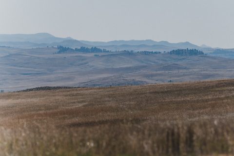 A hazy and serene view of distant hills under a soft sky, with fields of dry grass in the foreground.