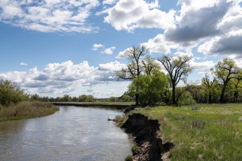 Scenic hiking trail at Welch Ranch near Sheridan, featuring lush greenery and tranquil paths, perfect for nature lovers and outdoor enthusiasts.