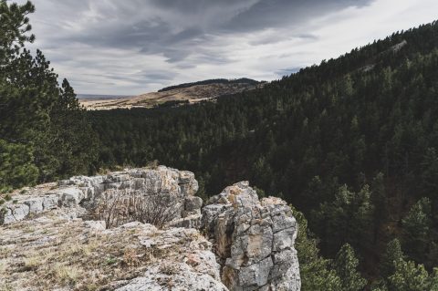 Rugged cliffs and dense forest views from Story Penrose Trail, a top thing to do for a day hike near Sheridan.