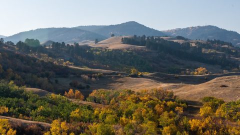 The serene landscape of Story, WY, nestled between North and South Piney Creeks and surrounded by autumn's palette, is a must-visit site for nature lovers and a top thing to do.