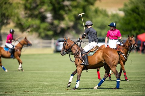 A dynamic polo game at the Polo at the Equestrian Center, which is a top thing to do and visit in Sheridan, Wyoming.