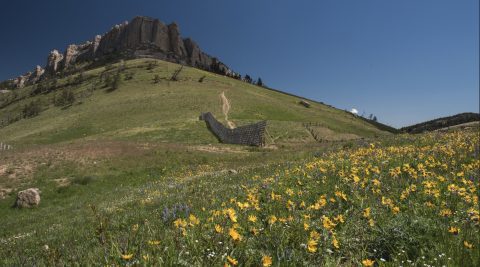 A panoramic view of Steamboat Point, a popular hiking destination featuring rocky cliffs and vibrant wildflowers, one of the best hikes near Sheridan, Wyoming.