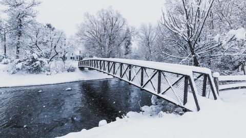 Wintertime at Kendrick Park