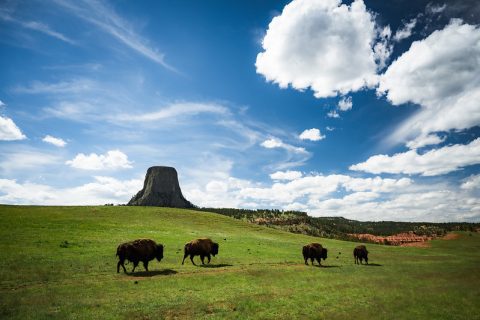 Devils Tower