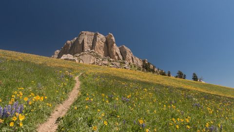 Springtime at Steamboat in the Bighorn Mountains