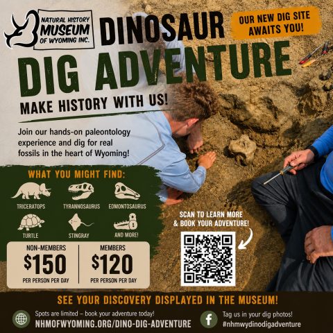 Dino Dig Flyer