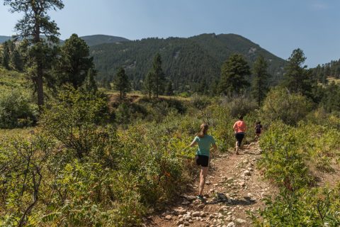 Wolf Creek Wrangle