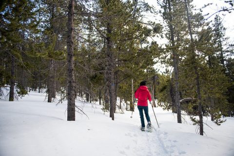 Sheridan WY Winter Bucket List