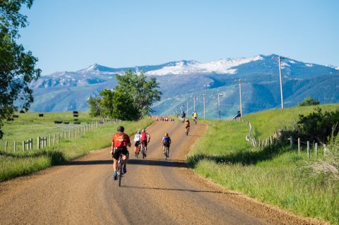 The Dead Swede is dedicated to having fun on bikes