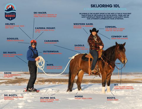 A detailed explanation of skijoring equipment and roles, highlighting the sport's complexity and the teamwork involved.