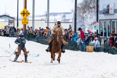 A skijoring rider in Sheridan, WY, charges forward on horseback, demonstrating the skill and speed of this traditional winter event.