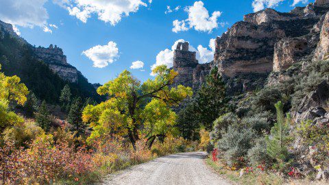 Autumn colors adorn the scenic drive through Ten Sleep Canyon, a top site and thing to do when exploring in Wyoming.