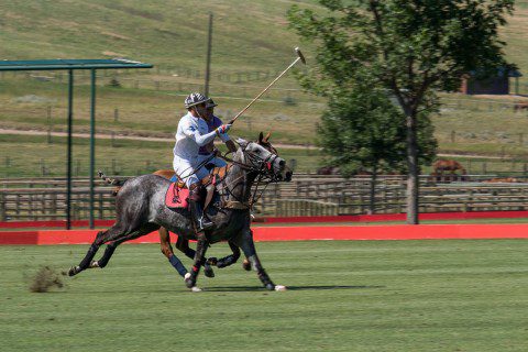Polo at the Equestrian Center