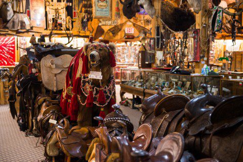 The curious and the remarkable inside the Don King Museum