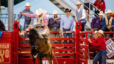 Action-packed scene from the WYO Rodeo, showcasing the thrilling excitement of rodeo sports as a top thing to do in Sheridan.