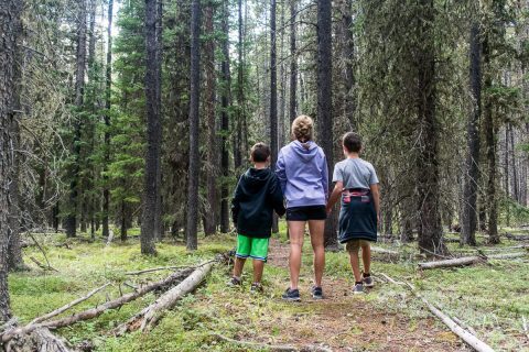 Family hiking Bighorns National Forest