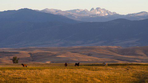 Explore Sheridan Wyoming and The Bighorn Mountains