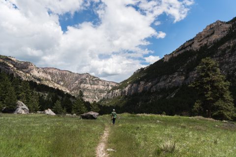 A lone hiker follows a trail in Tongue River Canyon, showcasing the rugged beauty and expansive views typical of hikes near Sheridan, WY.